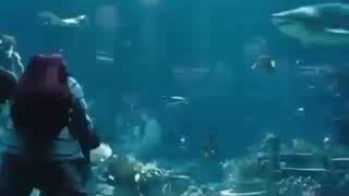 سبحان الله شاهد فيديو لا تندم