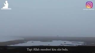Allah memberi apa yg kita butuhkan