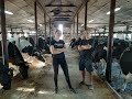 Siostra Ola doi krowy, jak wyglądają u Nas codzienne letnie obowiązki przy krowach, jak są karmione?