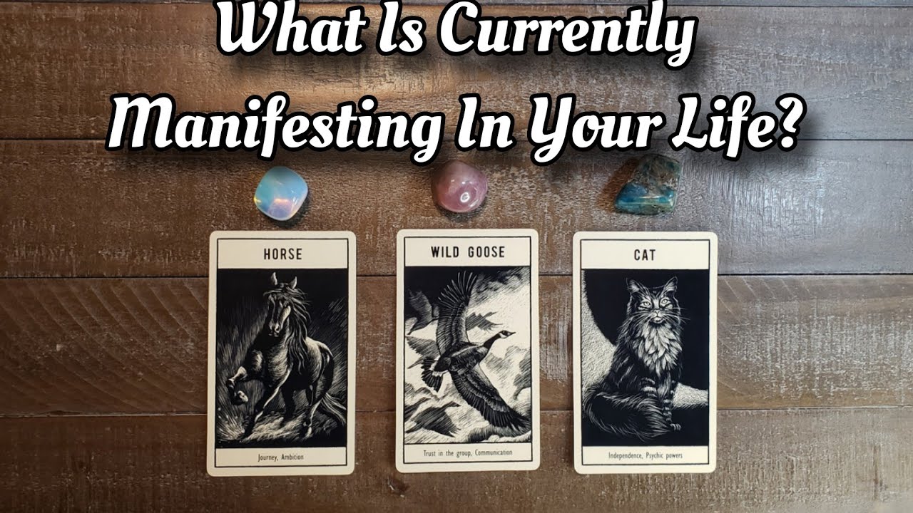 🌟😱 What Is Currently Manifesting In Your Life? Pick A Card Reading