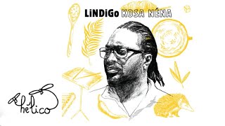 Video thumbnail of "LiNDiGo - Malagasy Anou (audio)"