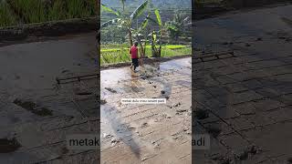 Metak Dulu Mau Nanam Padi Saba Pilemburan Vlog Jaki