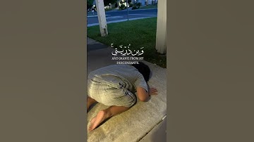الشيخ خالد الجليل تلاوه خاشعه تبكي الحجر