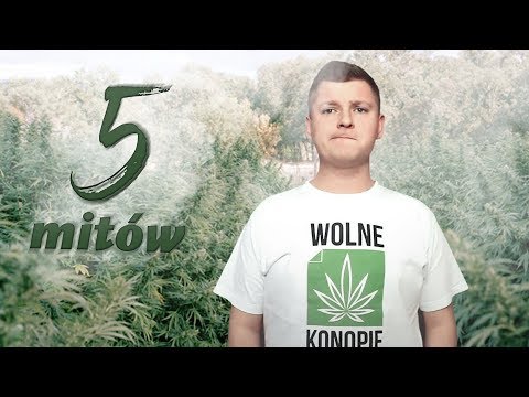 Wideo: Czy Marihuana To Narkotyk? Plus 4 Inne Mity