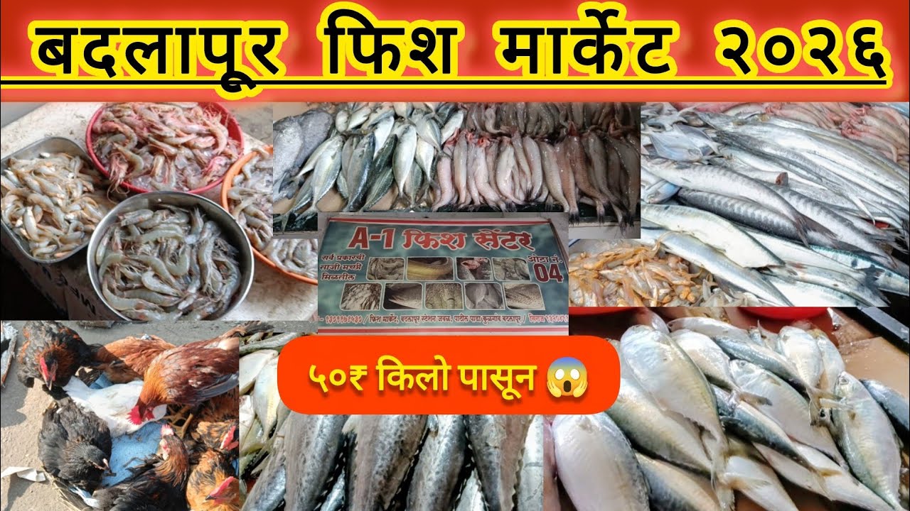 बदलापूर फिश मार्केट 2026.. Badlapur fish market..50₹ किलो पासून 😱