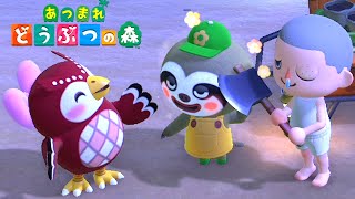 付き合ってんの?【あつまれ どうぶつの森】#10