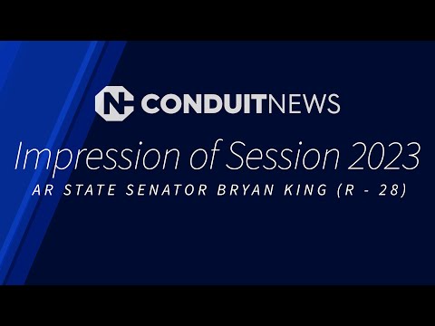 Ar State Sen. Bryan King — 2023 Impression of Session