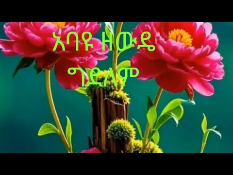 አባዩ ዘውዴ ሀሴቤ ምኘቴ Abayu Zewde