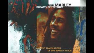 Bob marley - Rebel Music Ambient Translations of Bob Marley in Dub