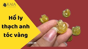 Hồ ly Thạch anh Tóc vàng - Kaia.vn