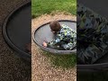 #spin #downsyndrome #funny #child #oldies #music #sound #parklife #rock #lifeisbutadream