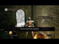 Dark Souls no death run #104