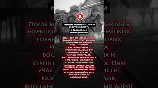 Пленные немцы в СССР #вов#история#война