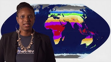 HHMI Educator Tips | Biology of Skin Color