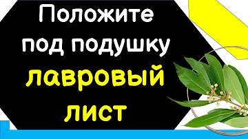 Положите под подушку лавровый лист