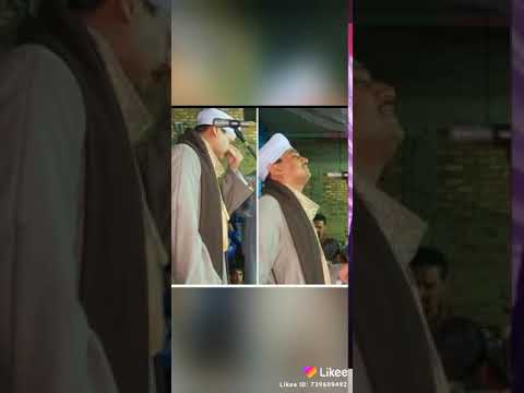 يا حمام بتنوح ليه