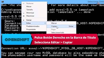 10.- Curso de Openshift. Instalar Cartridge phpmyadmin.