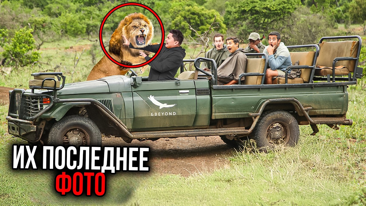 5 самых ШОКИРУЮЩИХ смертей во время сафари по дикой природе (часть 2)