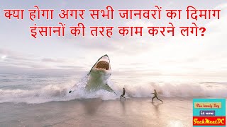 What If All Animals Suddenly Got A Human Brain In Hindi? Techmeetdc