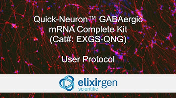Protocol for Quick-Neuron GABAergic - mRNA Complete Kit