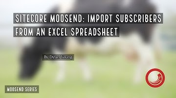 🐄 Sitecore Moosend: Import Subscribers From An Excel Spreadsheet