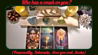 🌹🔮Tarot Pick-A-Card: WHO HAS A CRUSH ON YOU?(PERSONALITY, CAREERS, HOW YOU MET, LOOKS)?🌹🔮