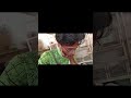 👉 Day 4 😢 Lucky Kabootri Mar Gai | Hustle Still On 🔥#day4 #zerosestart #sherazdailyhustle #emotional