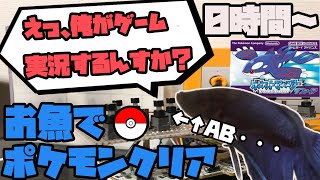 魚 による ポケモン ゲーム実況が今アツい 笑いあり逃がしあり 魚たちが描く青春ドラマ Automaton 魚 による ポケモン ゲーム実況が今アツい 笑いあり逃がしあり 魚たちが描く青春ドラマ Automaton
