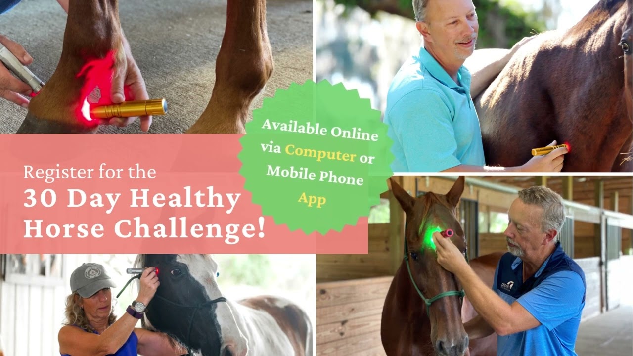 Do you own a Red Light Therapy Device & a Horse? (Healthy Horse