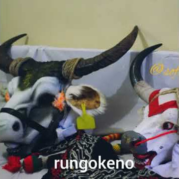 Story wa banteng Nuswantoro