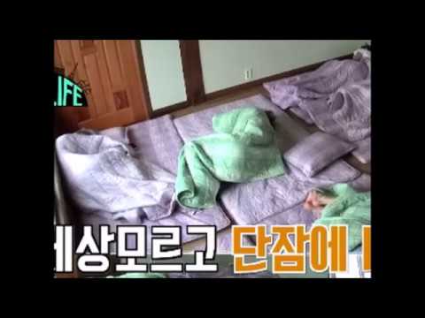 삐뚤빼뚤 자는 유타 Sleeping YUTA