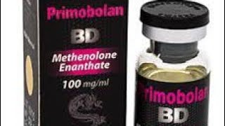 بريموبولان اكثر هرمون أمن ،شرح بالتفصيل