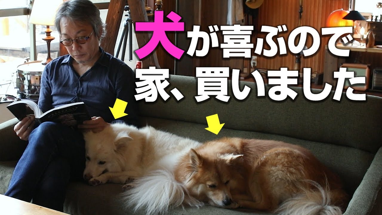 ペットのためのリノベ 犬が喜ぶので 家 買いました 穴澤賢さん 大吉君 福助君の家 Youtube ペットのためのリノベ 犬が喜ぶので 家 買いました 穴澤賢さん 大吉君 福助君の家 Youtube