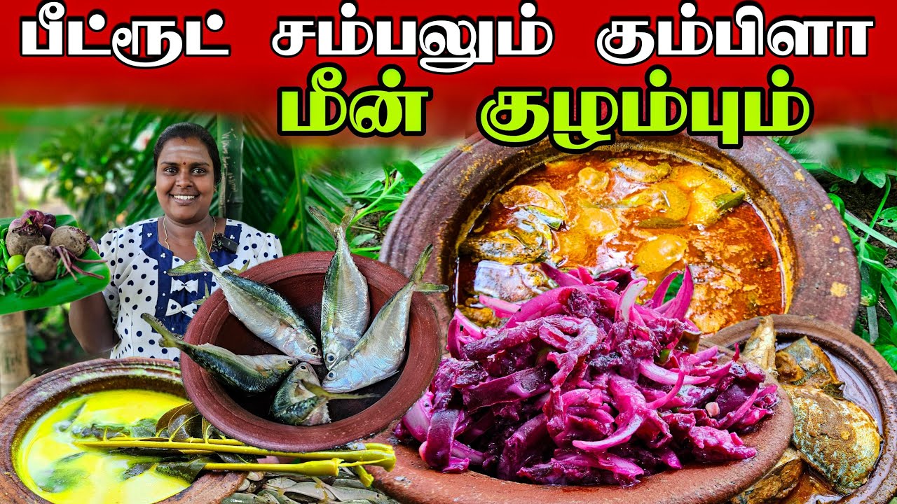 பீட்ரூட் சம்பலும் கும்பிளா மீன் குழம்பும் | Village cooking 👌 | vanni vlog