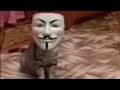 Кот анонимус