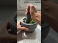 Why Pro Chefs HATE Electric Grinders...