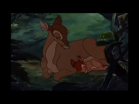 [playlist525] 🌙 우리의 밤은 잠들지 않아 ✨｜새벽 감성 폭발하는 팝송 / 1hour lofi /study / work / relax