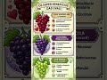UVA: Qual a melhor para você? 🍇 Benefícios de cada cor! #saude #dieta #frutas #bemestar