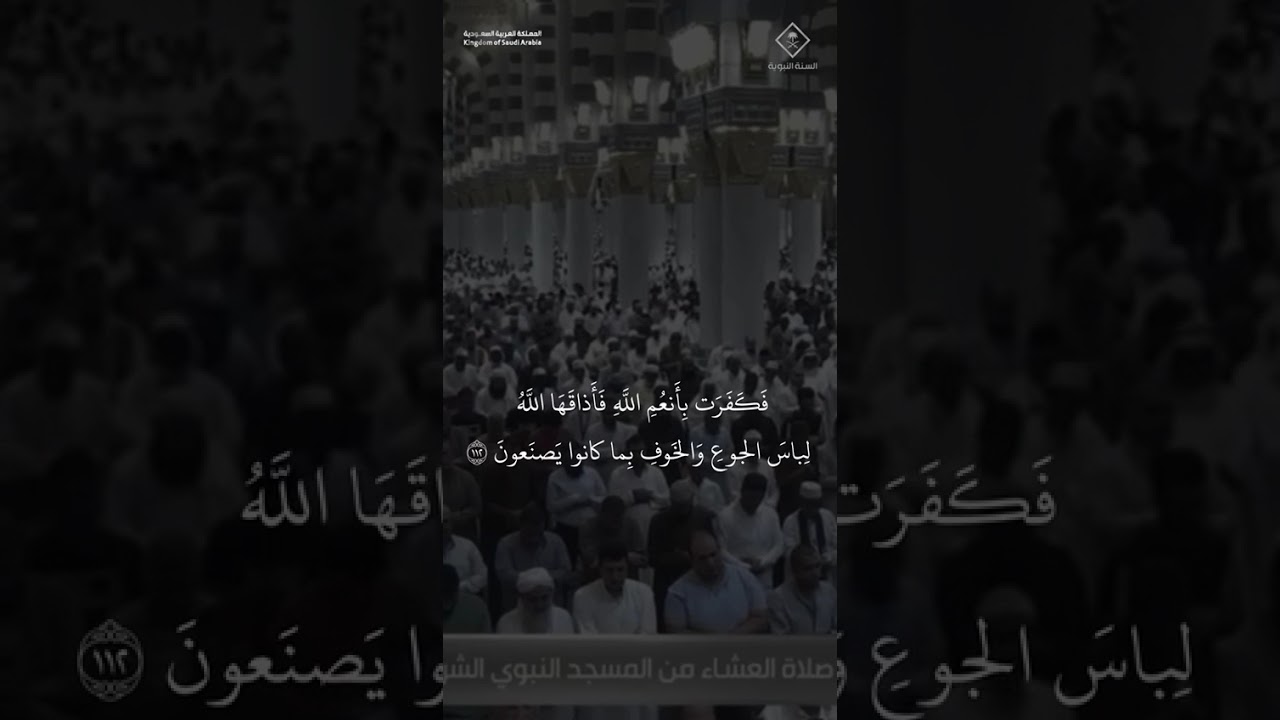 مقتطف من تلاوة فضيلة الشيخ #عبدالمحسن_القاسم من صلاة العشاء 7 ربيع الآخر 1447هـ