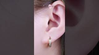 Limerencia G23 Pure Titanium Hypoallergenic Huggie Hoop Earringsgold