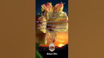 حالات واتس - قل لئن اجتمعت الانس والجن على ان يأتوا بمثل هذا القران - للقارئ | احمد العجمي 🥀