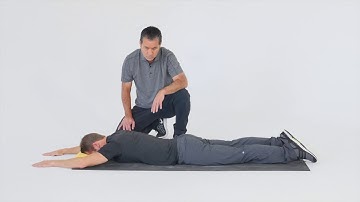 Back Doctor - Prone Level 1