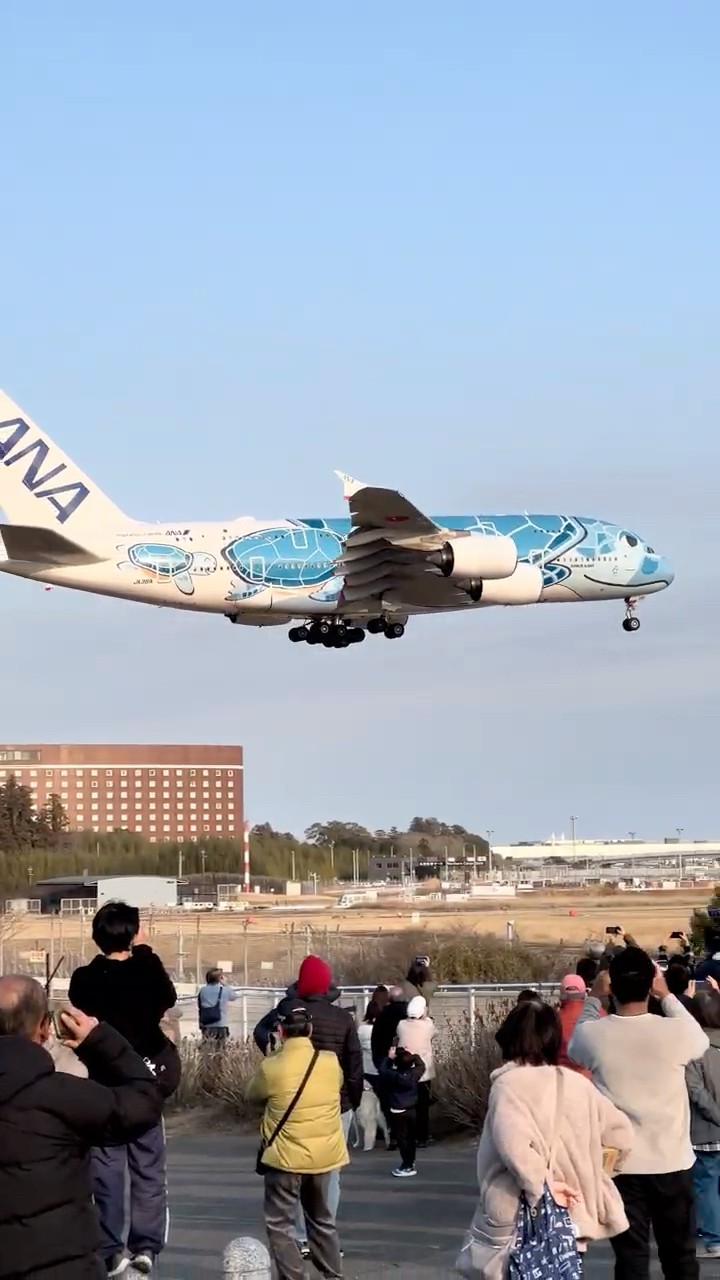 フライングホヌのラニちゃんなANAのA380 / ANA183 JA381A RJAA 16R