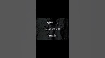 # قرآن #سورة القصص