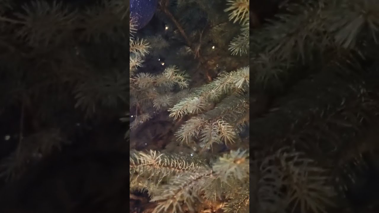 Garland On A Street Tree Christmastree