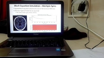 Abdul Waheed - Simulation of Bloch Equation and Obtaining Different Contrast Images