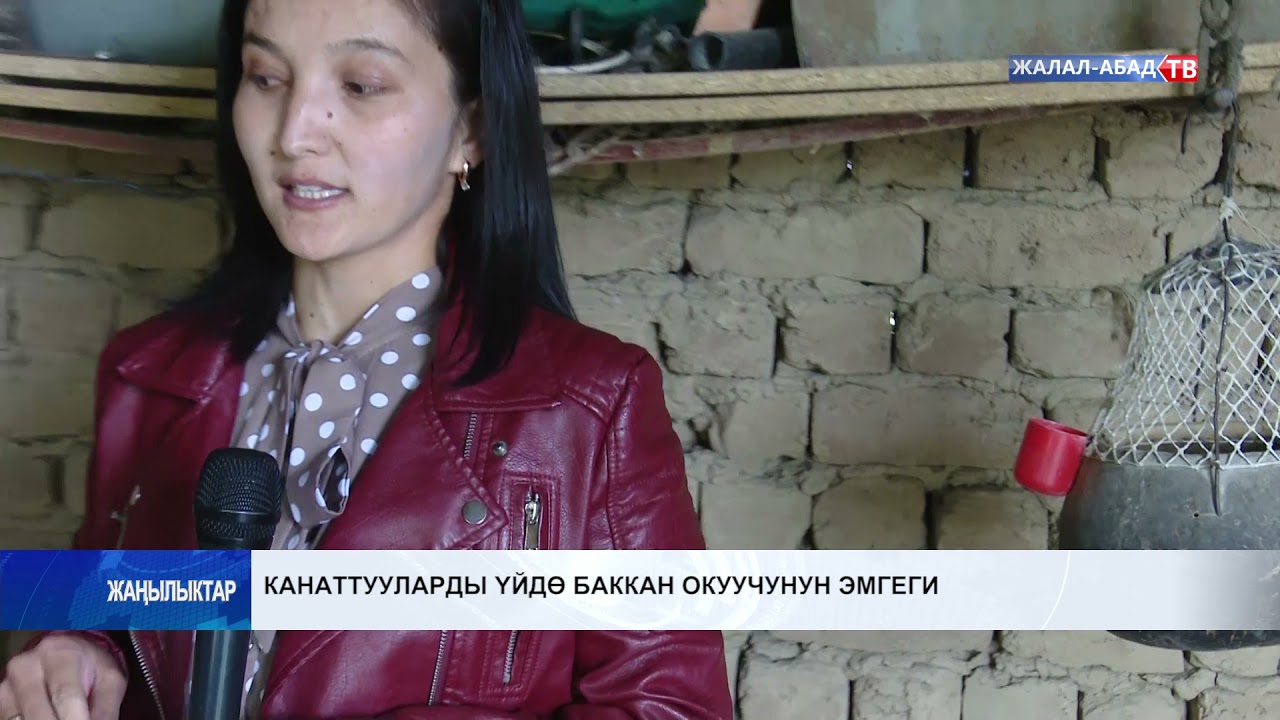 Канаттууларды үйдө баккан окуучунун эмгеги