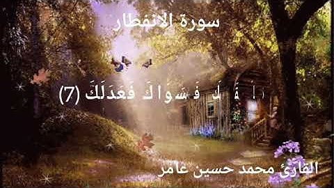 سورة الانفطار _ الشيخ محمد حسين عامر