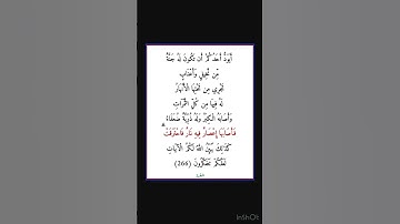 سورة البقرة - سورة 02 - اية 266