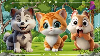 Cute Little Farm Animal Sounds - Wolf, Kitten, Squirrel, Quokka, Polecat - Music For Relax